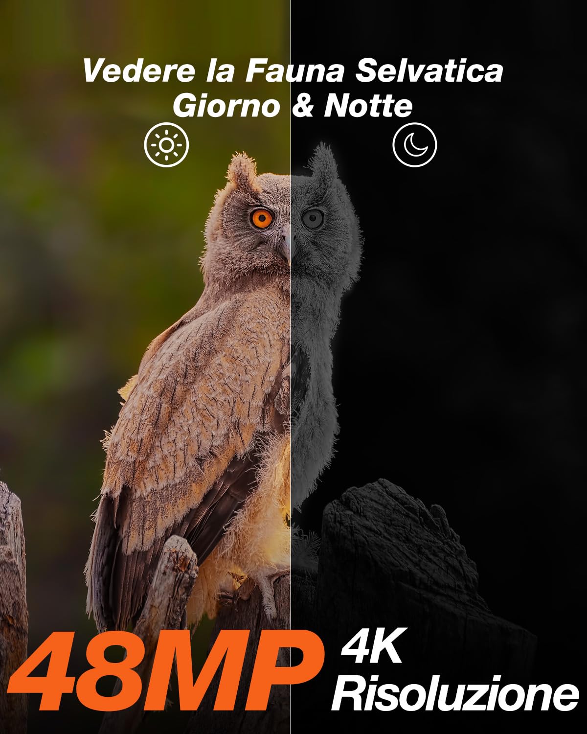 iZEEKER Fototrappola Solare 4K 30fps 48MP, Fototrappola Infrarossi con LED 850nm Batteria da 2600 mAh Impermeabile IP66, Senza Wi-Fi, Schermo LCD da 2,0" per la Sorveglianza della Fauna Selvatica