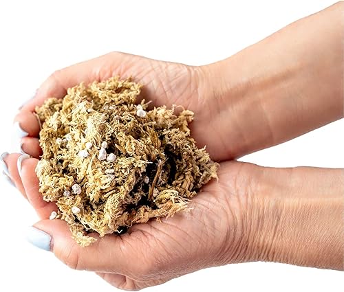Miniatura 9 de Sphagnum - Mezcla para macetas de musgo para plantas carnívoras, mezcla de musgo y perlita para macetas, trampas para moscas Venus, sarracenia,