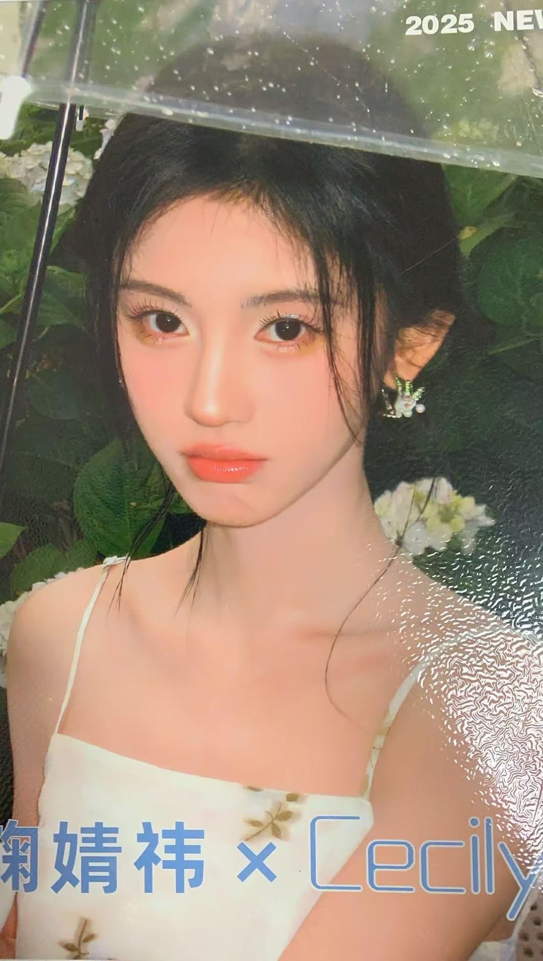 鞠婧祎 直筆サイン写真 専用ページ Amazon.co.jp: キクちゃん 鞠婧祎 SNH48 写真集 no.6 [並行輸入