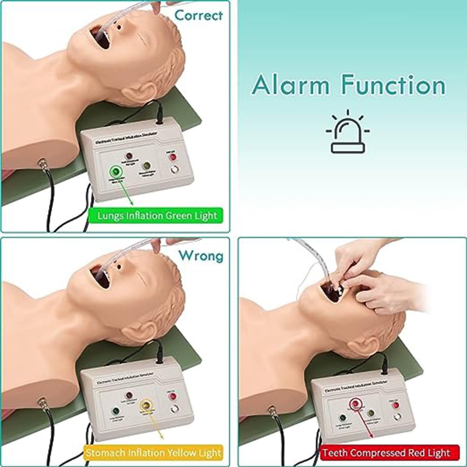 Intubación Maniquí Entrenamiento Enfermería Maniquí PVC Intubación Oral Nasal Maniquí Con Diente Alarma Dispositivo Simulador Manejo Vía Aérea Entrenador Intubación Cabeza Enseñanza Enseñó