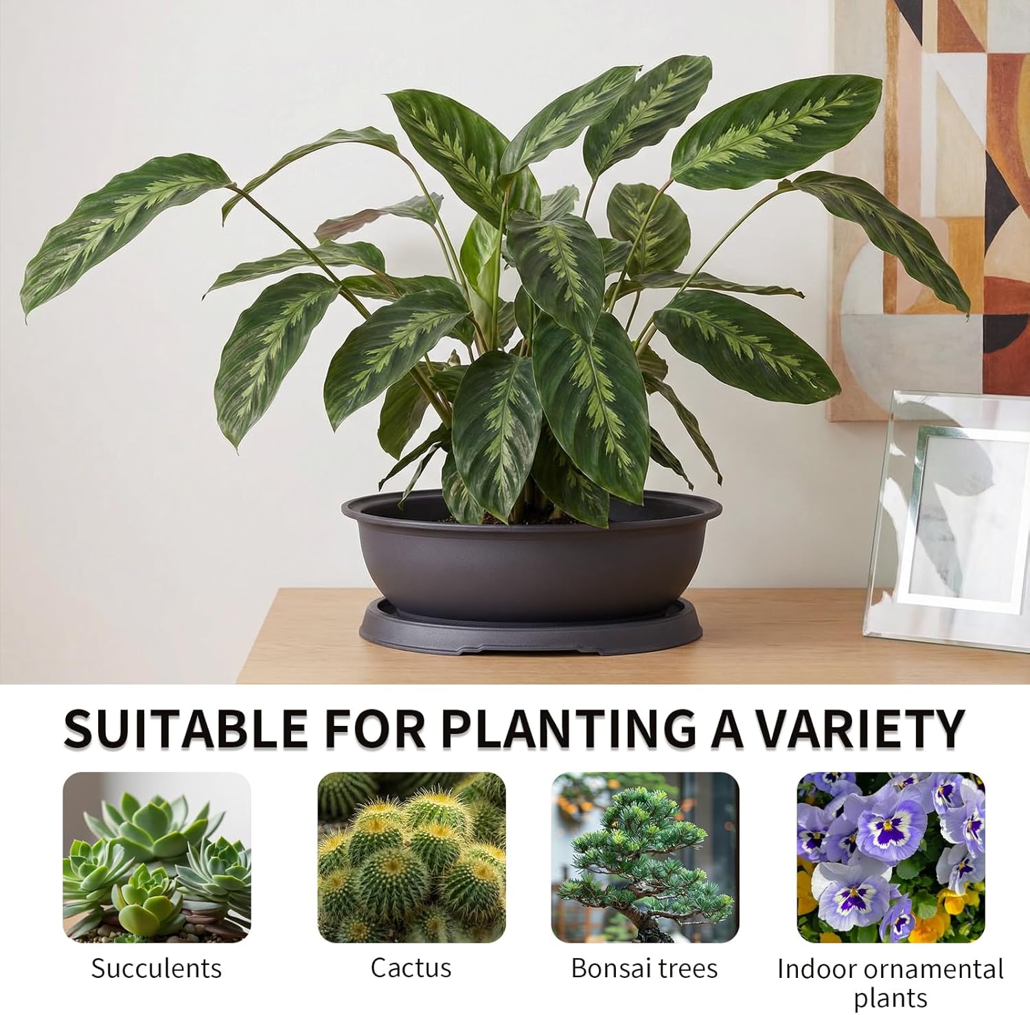 Bonsai Pots, Plastic Bonsai Tree Pots, Bonsai pots with Humidity Tray and Drainage, Suitable for Growing Potted Plants in Both Indoor and Outdoor Gardens (Ellipse, 2pcs-9.8")