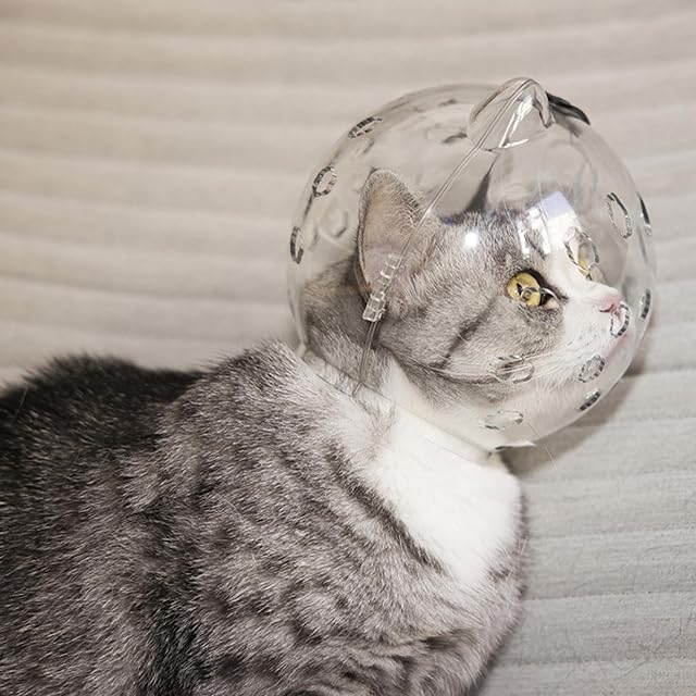 Foto 3 de 8 de ZORQ Gato para Cortar uñas - Burbuja Oreja Gato