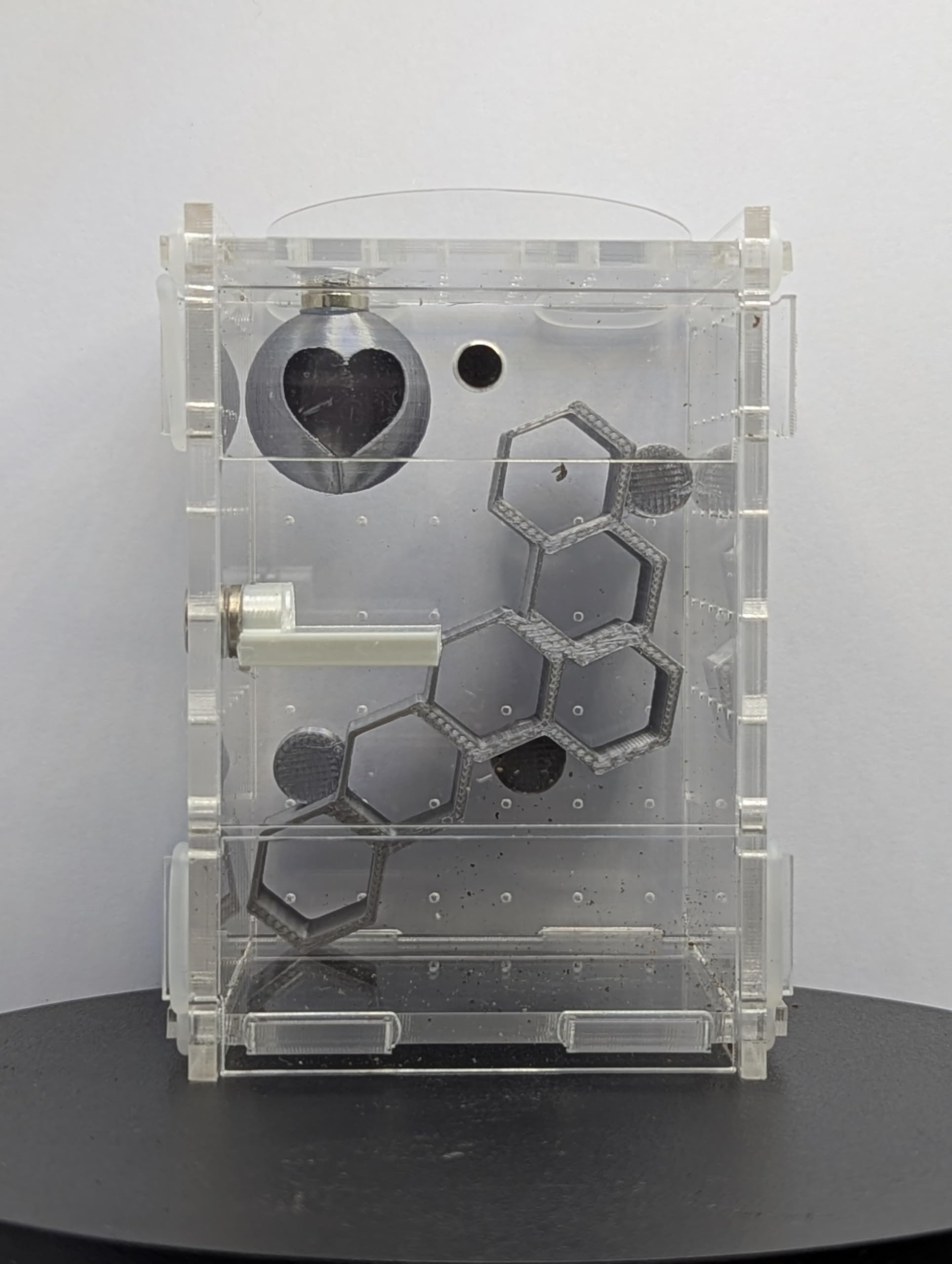 Jumping Spider Enclosure Full Setup with Decor included! Suitable for slings, pet spider, front opening, very secure 6cm X 6cm X 9cm Kit 360 Viewing (Gold) — view 5