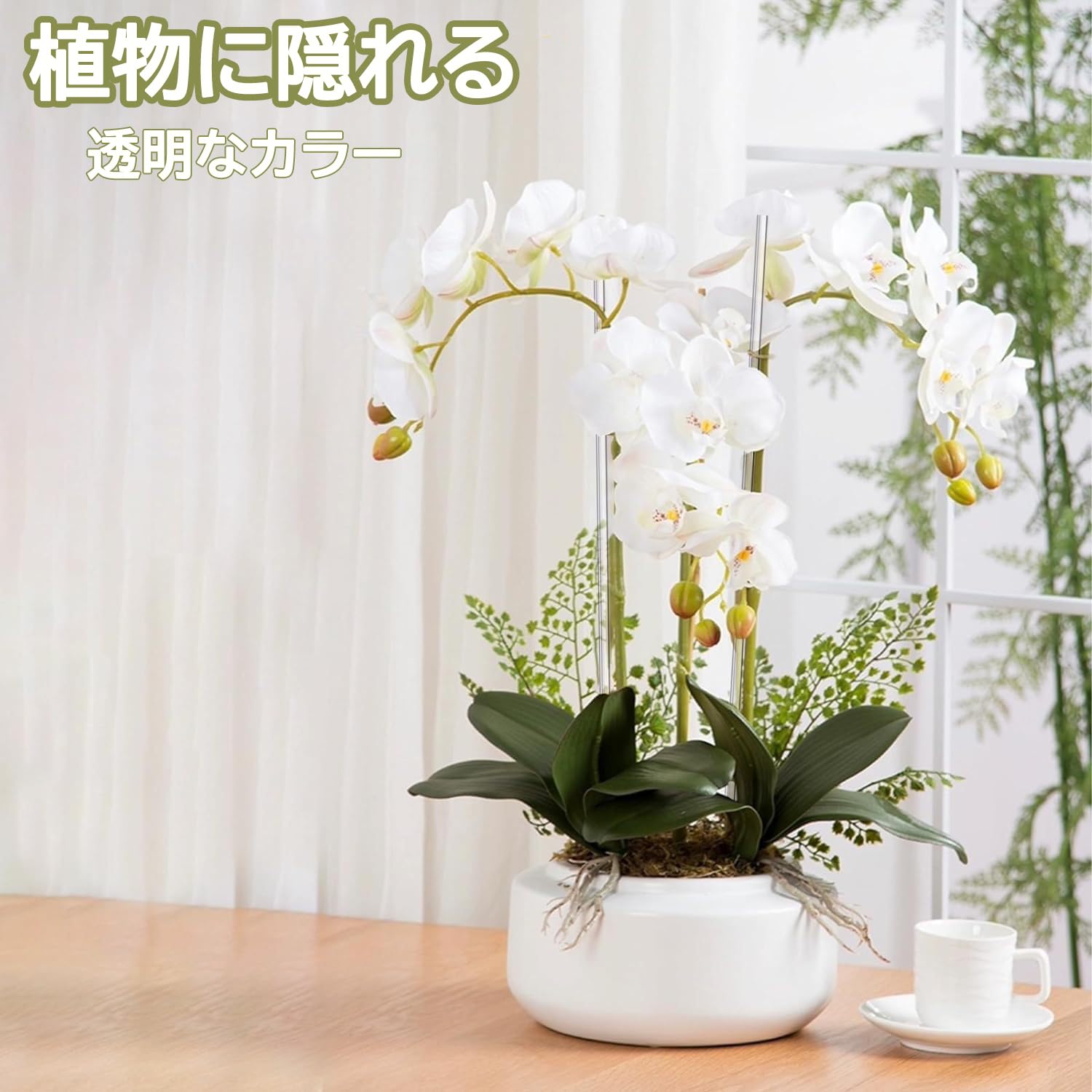 Amazon | BluFied 花ささえ 植物支柱 16個セット 園芸支柱 植物