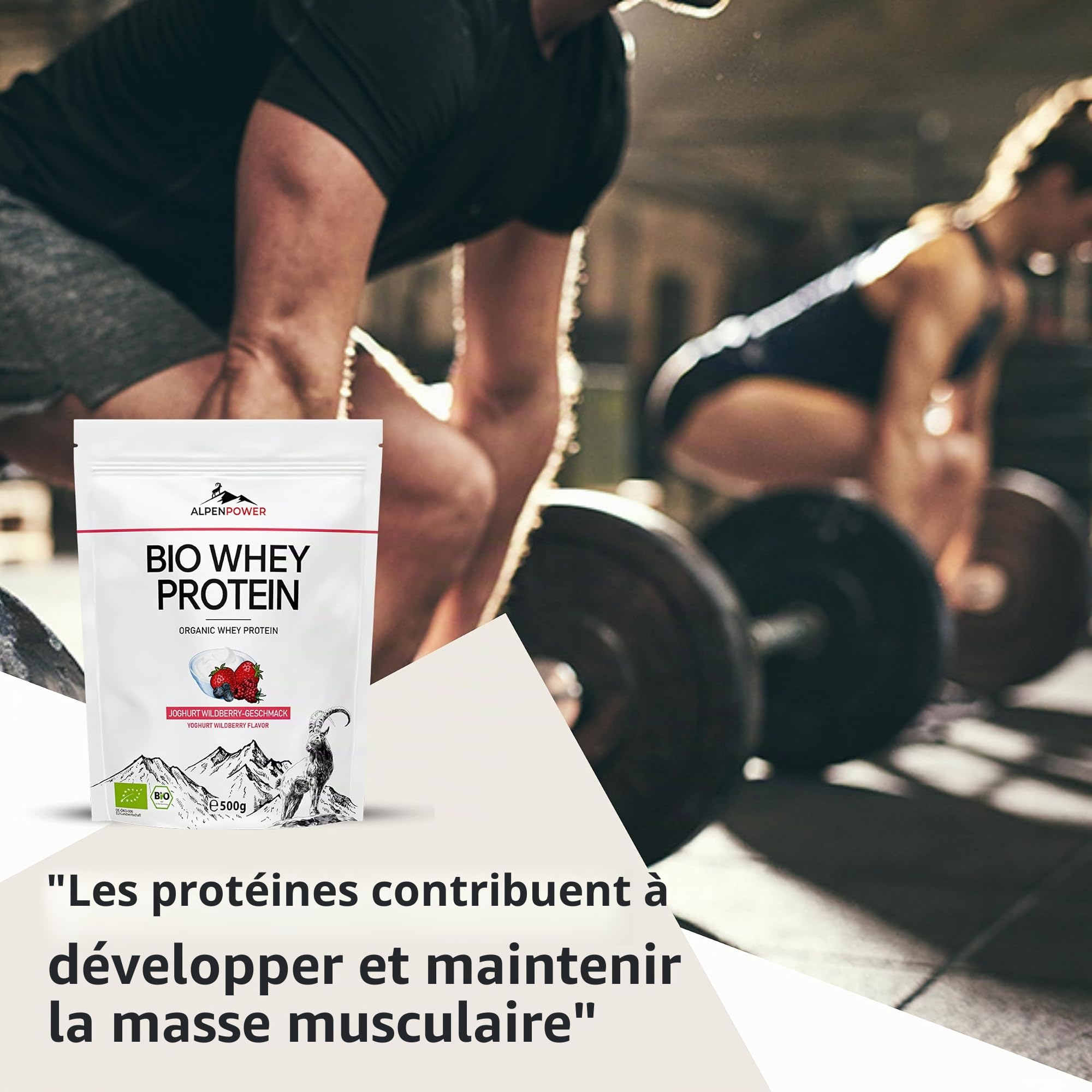 AlpenPower BIO Whey Protéine Yaourt baies sauvages 1 kg - Ingrédients 100% naturels - Sans additifs - Fabriqué à partir du meilleur lait alpin bio - Poudre de protéine CFM de haute qualité