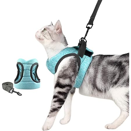 Amazon Karvier Amazonからfba最速発送 猫用ハーネス 胴輪 安全首輪 猫リード ペット用ベーシック首輪 歩行補助 引っ張り防止 脱走防止 超軽量50 G未満で M みどり Karvier ハーネス 通販