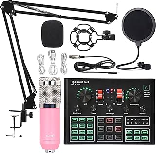 Sound Card Kit Bm 800 Microphone Sound Card Professional Studio Condenser Wireless Microphone For USB Gaming Singing Karaoke MIC For PC Phone Studio Setup For Recording Music ( Color : Pink BM800 V9XP