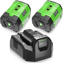 2 Packs 12000mAh High Capacity Replacement Battery and Charger CH2100 | Compatible with EGO 56 Volt Lithium Battery BA2800T BA4200T BA5600T BA4200 BA1400 BA2800 Cordless Power Tools