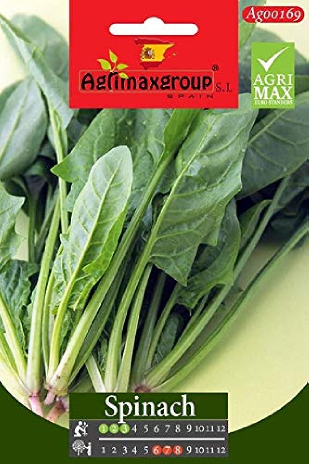 Agrimax Spinach Premium Quality Seeds (Made in Spain) by Agrimaxgroup®