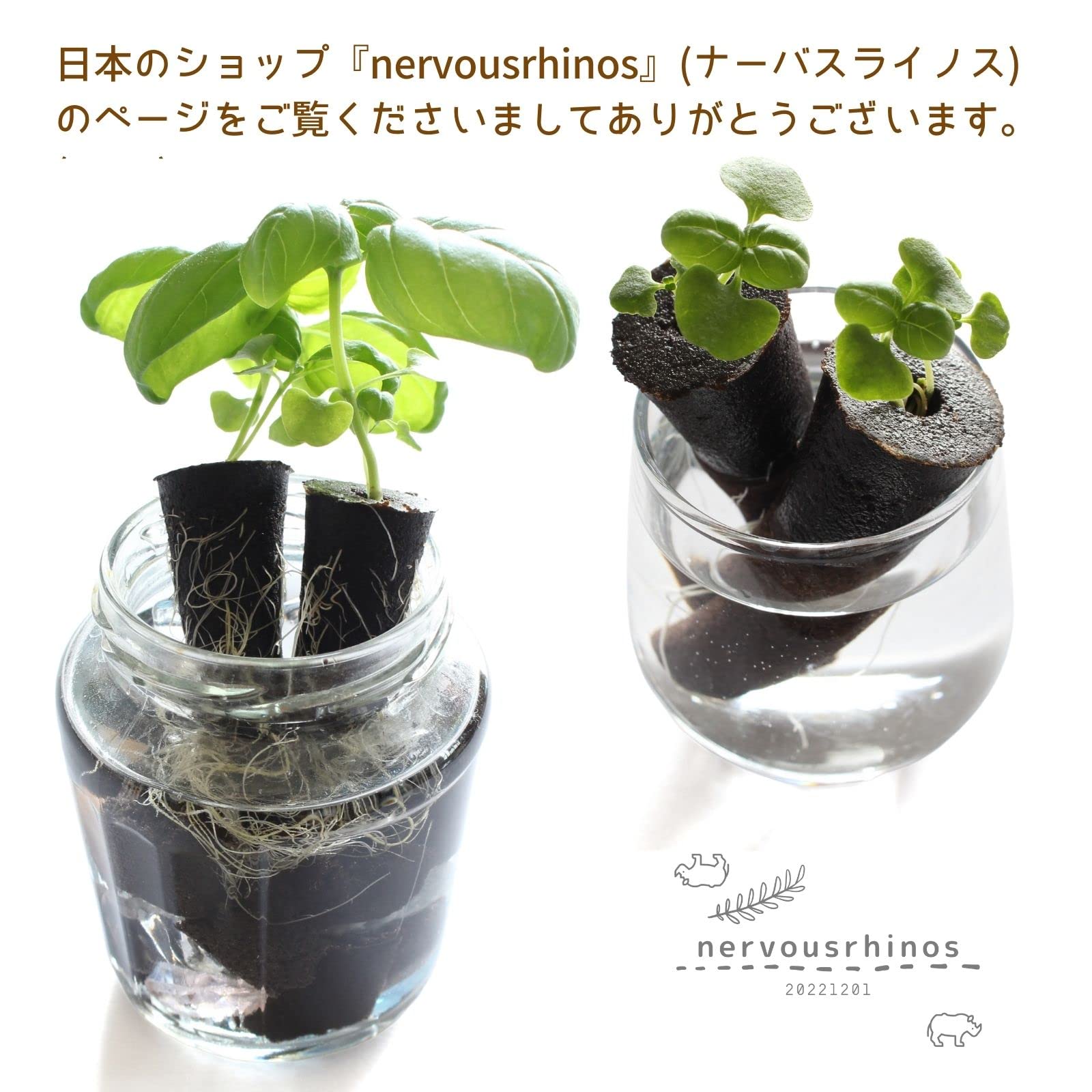 Amazon.co.jp: nervousrhinos 水耕栽培 スポンジ 水耕 栽培キット 室内
