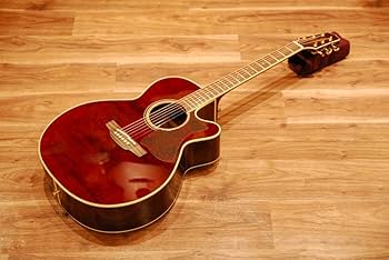 Amazon | 【コンタクトPU増設済】Takamine タカミネ DMP551C WR ワイン