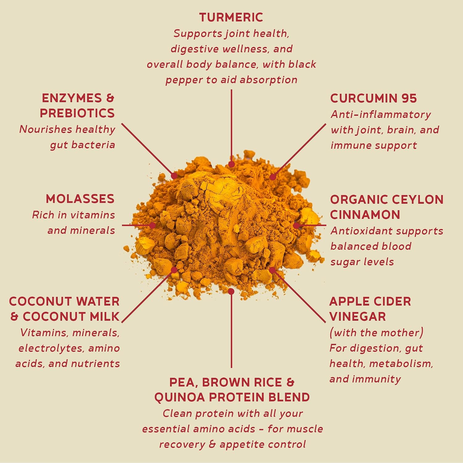 BBfL Plant-Based Protein Shake – 21g Vegan Protein, Turmeric + Curcumin 95 + Ceylon Cinnamon, Prebiotics, Digestive Enzymes, Supports Inflammatory Response – All-in-One Shake (15 Servings, Turmeric Cream)