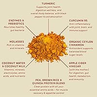 Vista 3 de BBfL Batido de proteínas a base de plantas – 0.76 oz de proteína vegana, cúrcuma + curcumina 95 + canela de Ceilán, prebióticos, enzimas digestivas