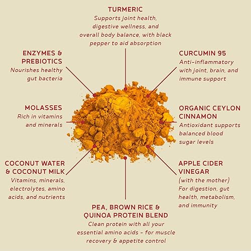 Miniatura 3 de BBfL Batido de proteínas a base de plantas  0.76 oz de proteína vegana, cúrcuma + curcumina 95 + canela de Ceilán, prebióticos, enzimas digestivas,