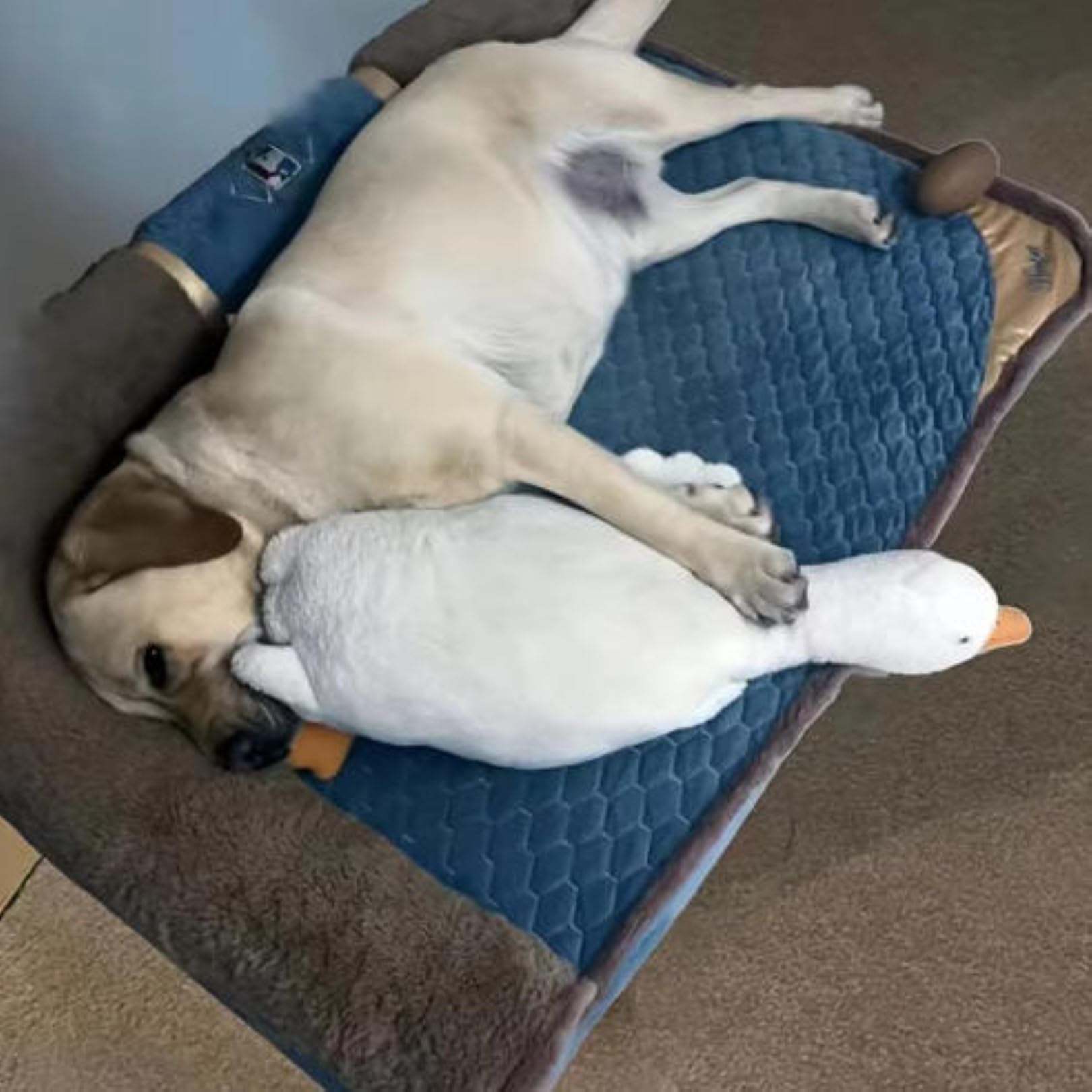 Großes Plüschweißes Enten-hundespielzeug Unzerstörbares Weißes Beruhigendes Welpen-plüschspielzeug Zum Kauen für Training, Bewegung, Indoor- & Outdoor-Spiel 190cm