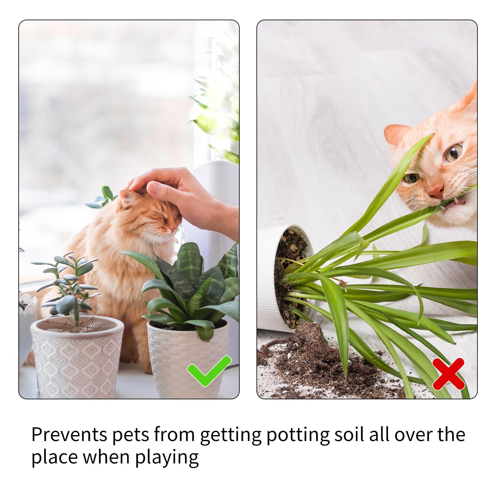 2Pièce Protection Plante Chat, Protege Plante Chat, Grilles de Protection de Pots, pour la Protection Contre les Dommages Causés par les Animaux Domestiques, Convient à de Nombreuses Occasions
