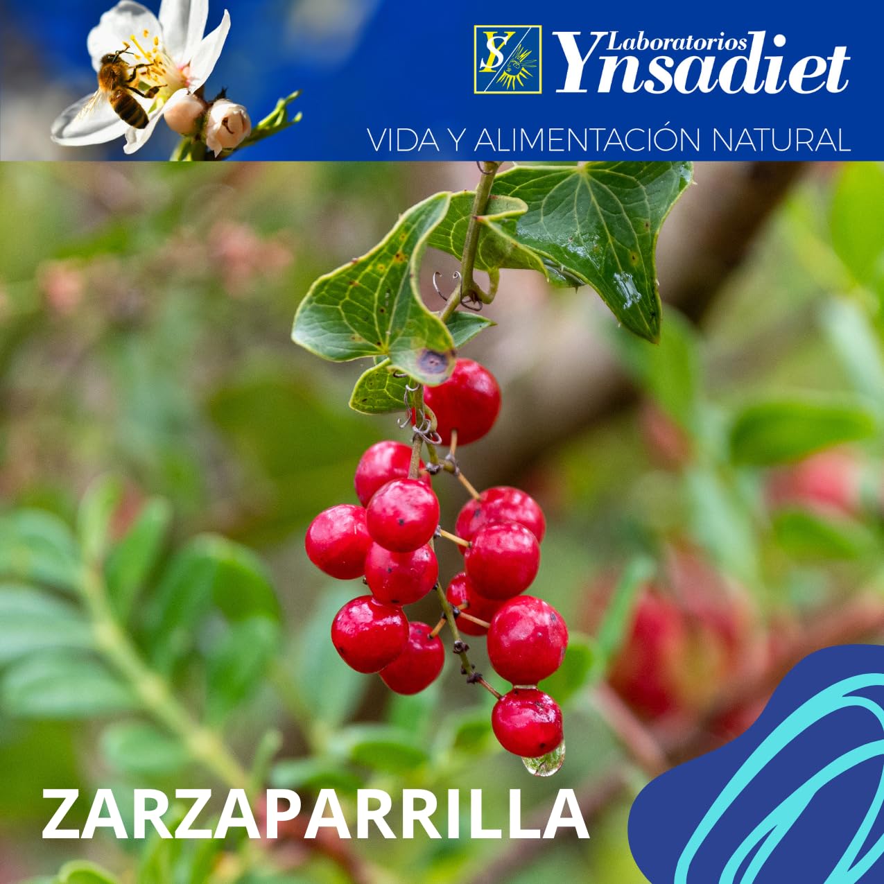 Ynsadite Ob 3 Drenante 475 ml