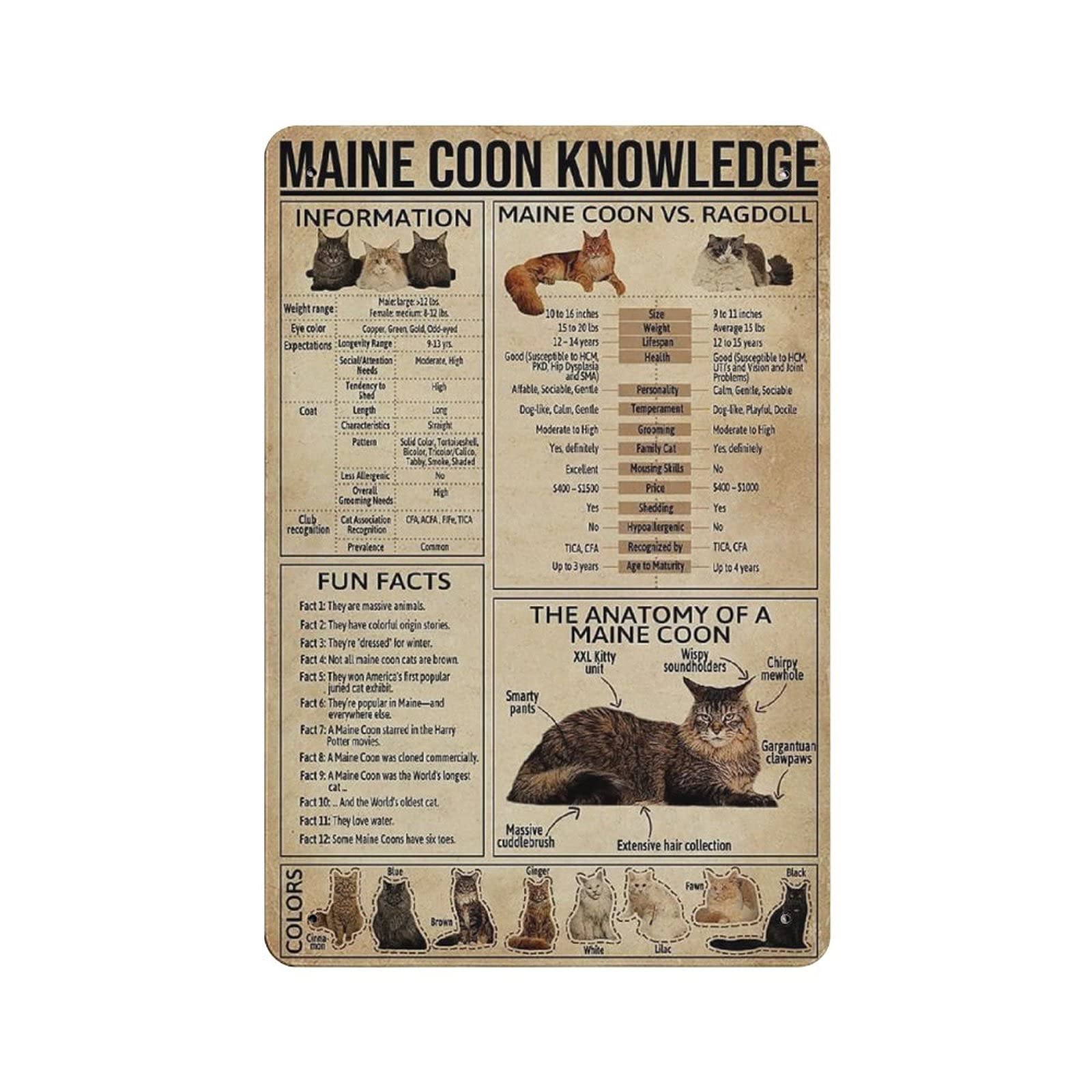 Metal Tin Sign Maine Coon Cat Knowledge Tin Sign Metal Aluminum Sign Vintage Wall Decor Retro Poster for Bars Restaurants Cafes Pubs Home Decoration 12"x8"