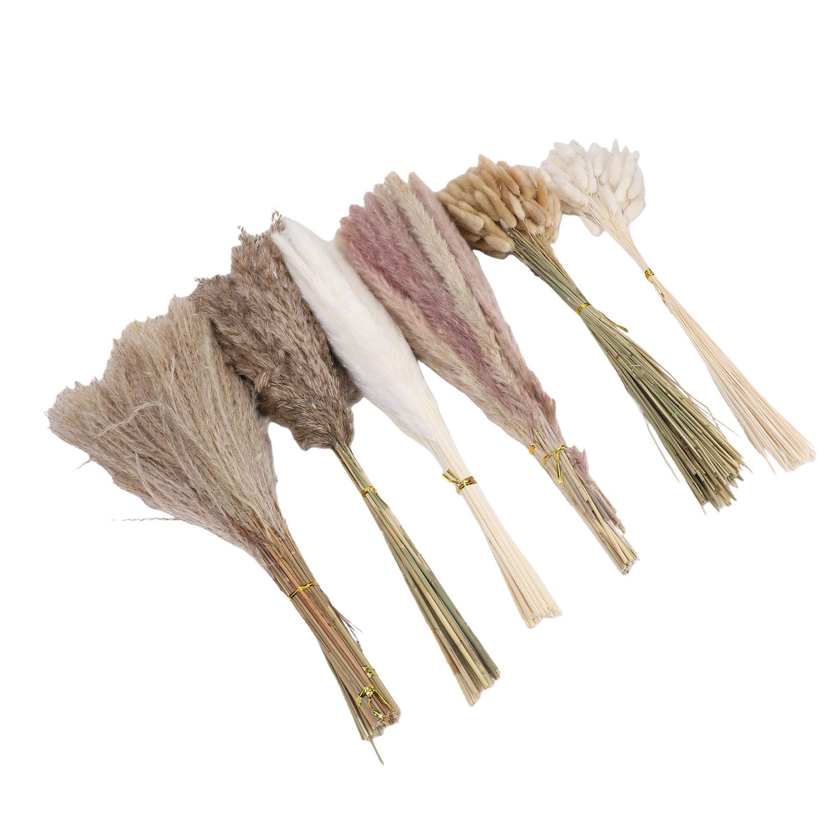 Bouquet di fiori secchi Boho da 330 pezzi, di pampa coda di coniglio piante secche riempitivo per vasi fiori nuziali per matrimoni, decorazioni per feste Boho e decorazioni per la