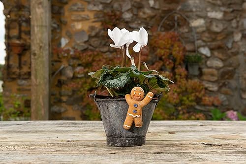 Miniatura 6 de Gingerbread Man Pot Buddy - Colgador decorativo de Navidad para macetas