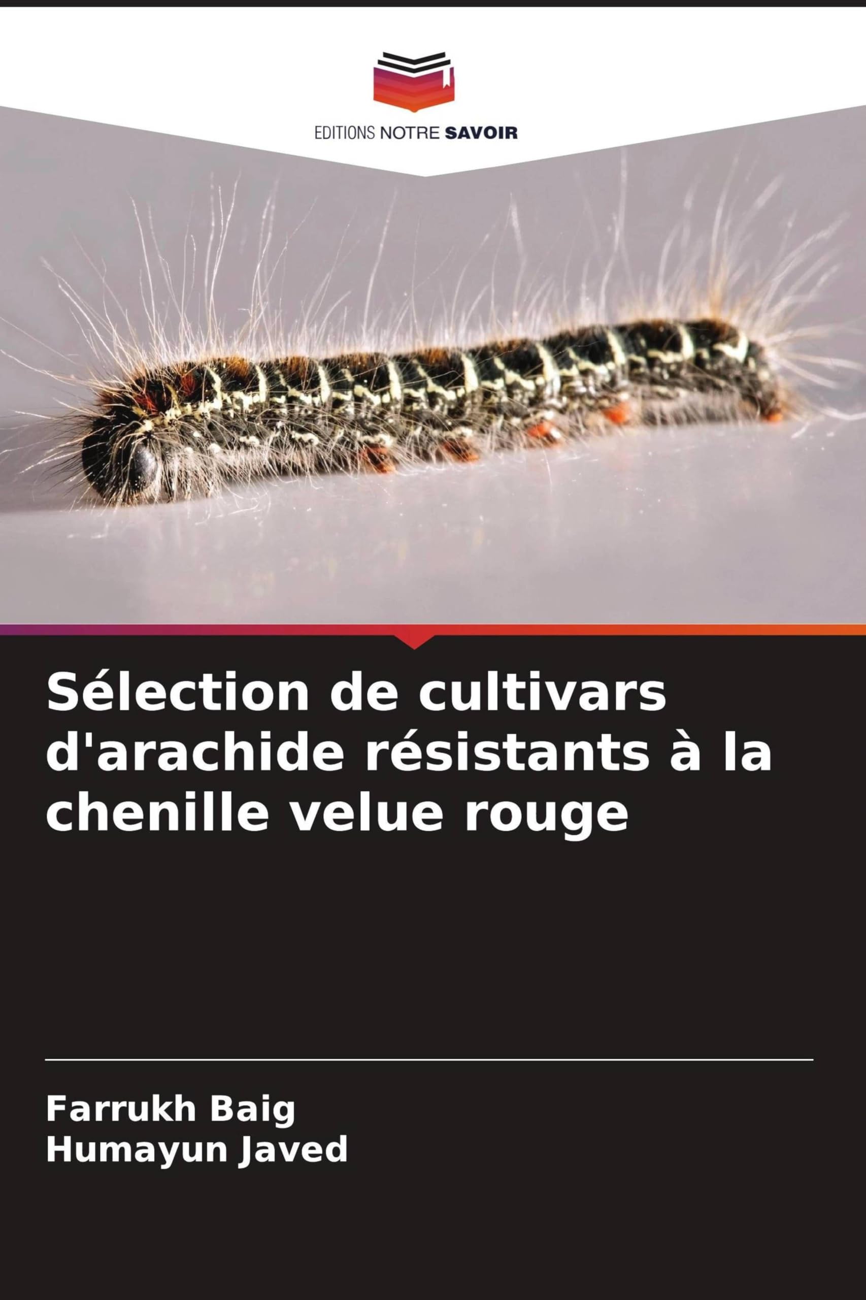 Sélection de cultivars d'arachide résistants à la chenille velue rouge