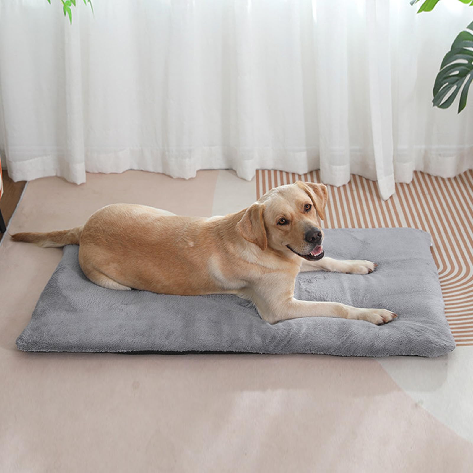 Tappetino Riscaldante per Animali Domestici, Tecnologia Autoriscaldante, Materiale Morbido Peluche, Design Ispessito per Calore Extra, Facile da Pulire, Leggero e (Grigio argento XL)