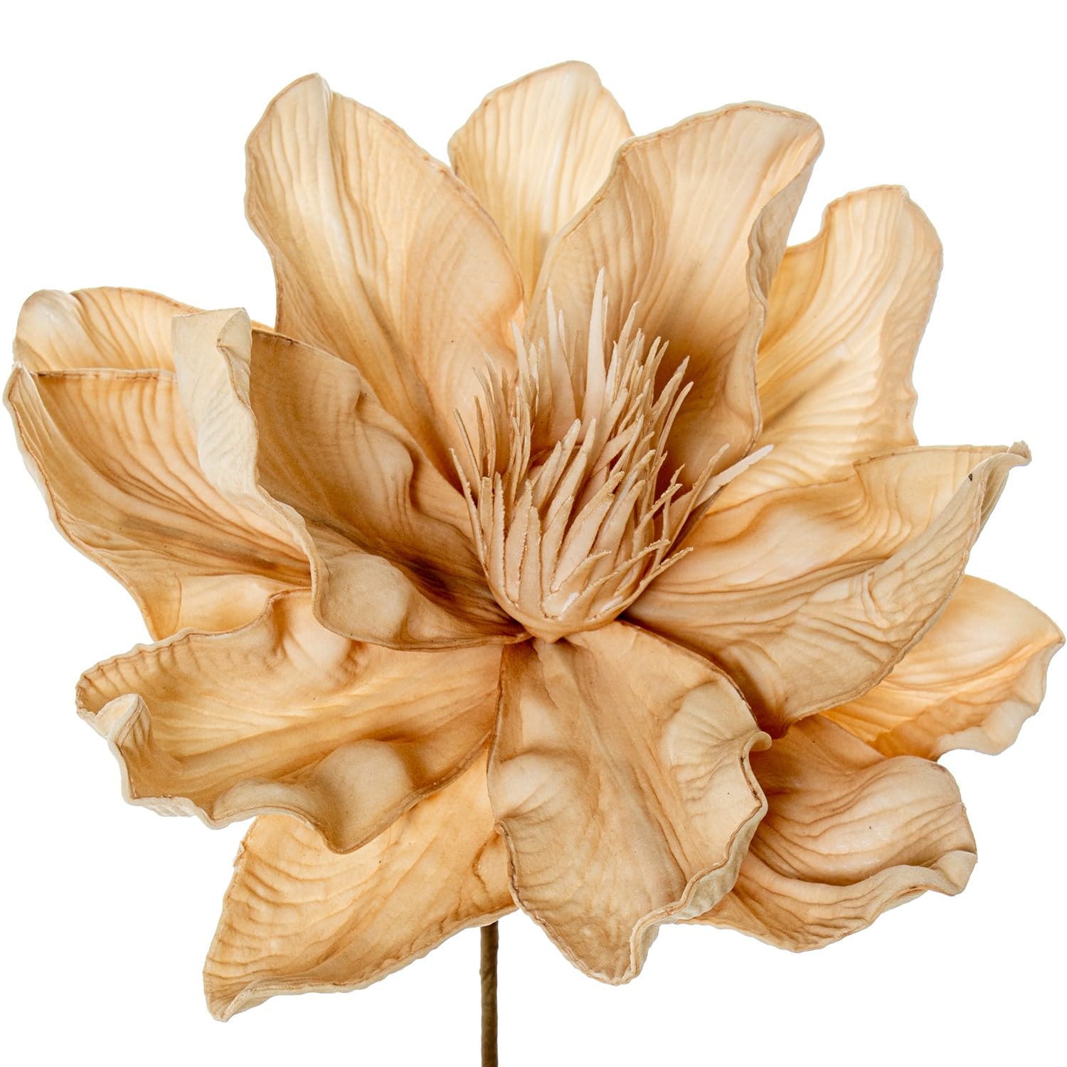 Fleurs artificielles en mousse EVA et papier beige DRW lot de 6 pièces 20x20x70 cm