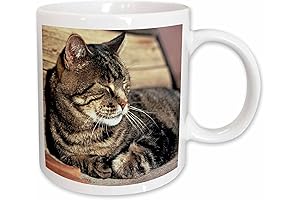 Utah, Capitol Reef NP Sleeping Tabby cat-US45 RER0114-Ric Ergenbright Ceramic Coffee Mug 11