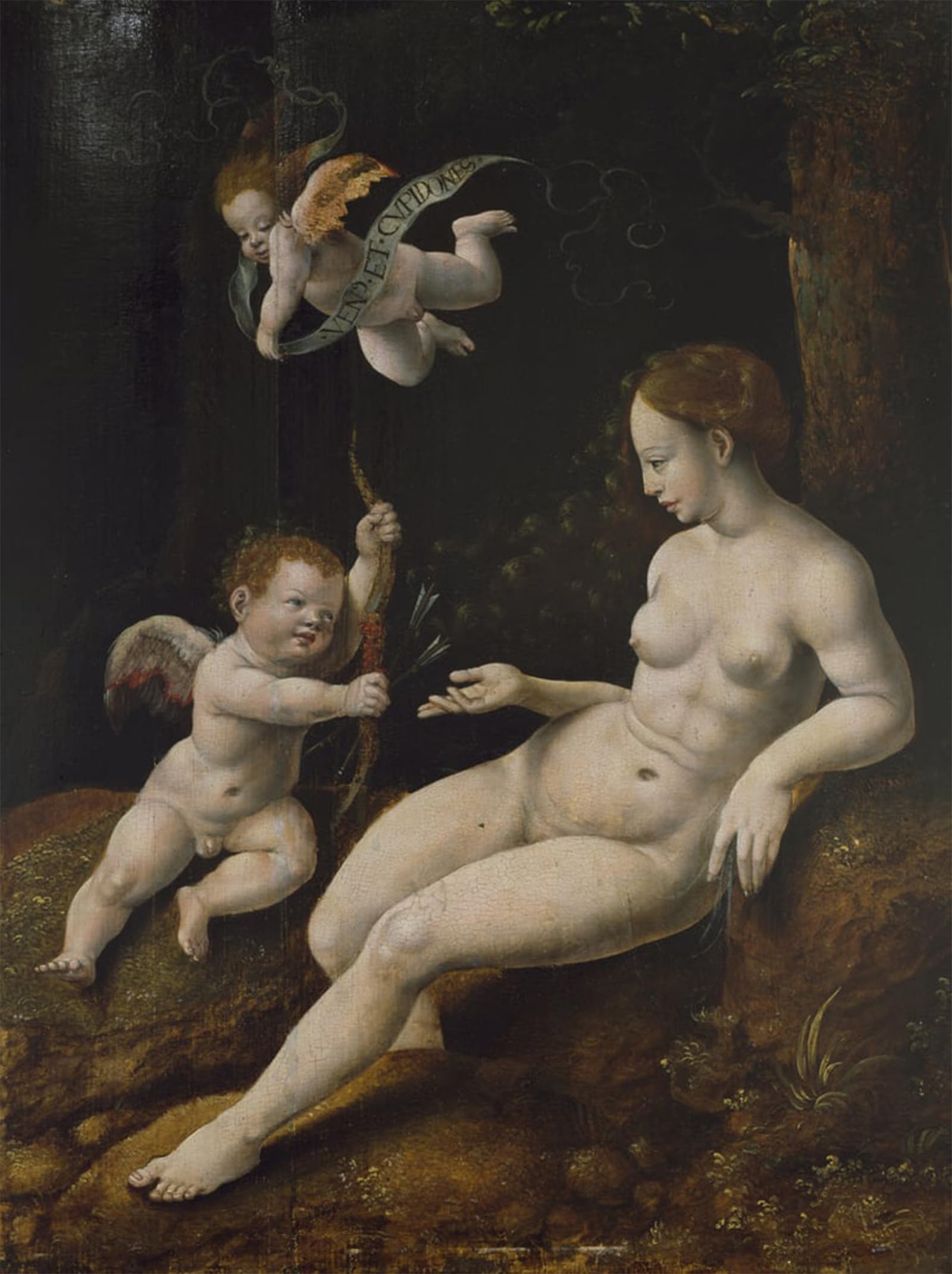 POSTERIIk Famous Animal Posters Vintage Picture Venus and Two Cupids by Jan Van Scorel Modern Wall Decor for Home Decor 60x90cm