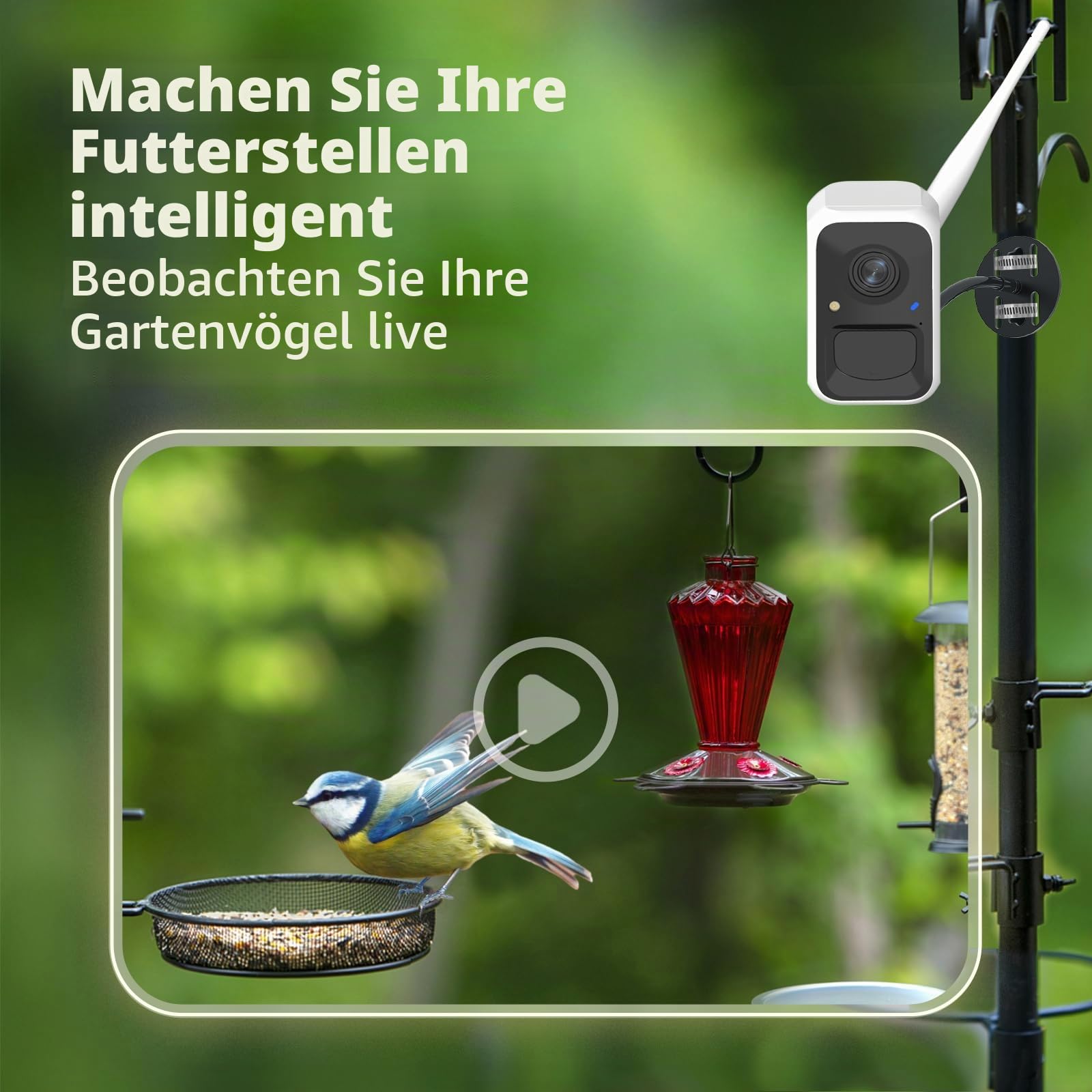 NETVUE Birdfy Intelligente Vogelkamera mit Solarenergie und Verstellbaren Ständern in Jedem Winkel, Erfasst Videos und Empfängt Benachrichtigungen