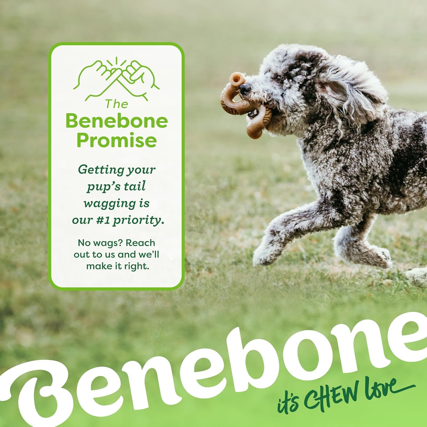 Benebone Confezione da 7 medie