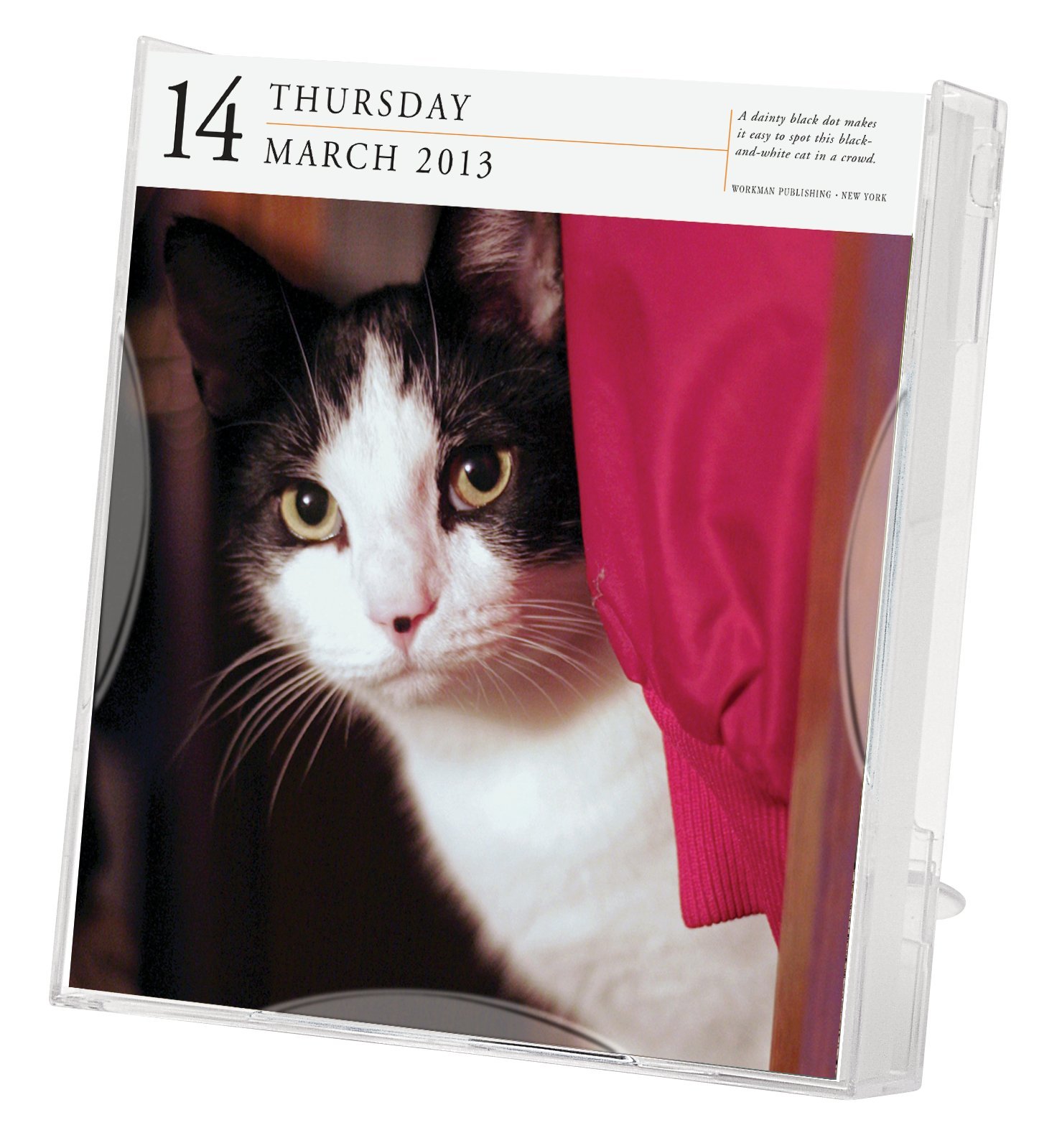 Cat Gallery 2013 Calendar