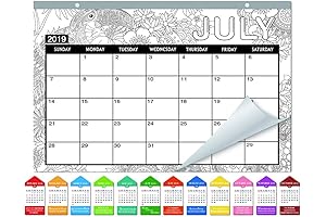 SICOHOME Desk Calendar -16''x11''- Academic Year Calendar July 2019 Through June 2020-Animals Coloring Designs