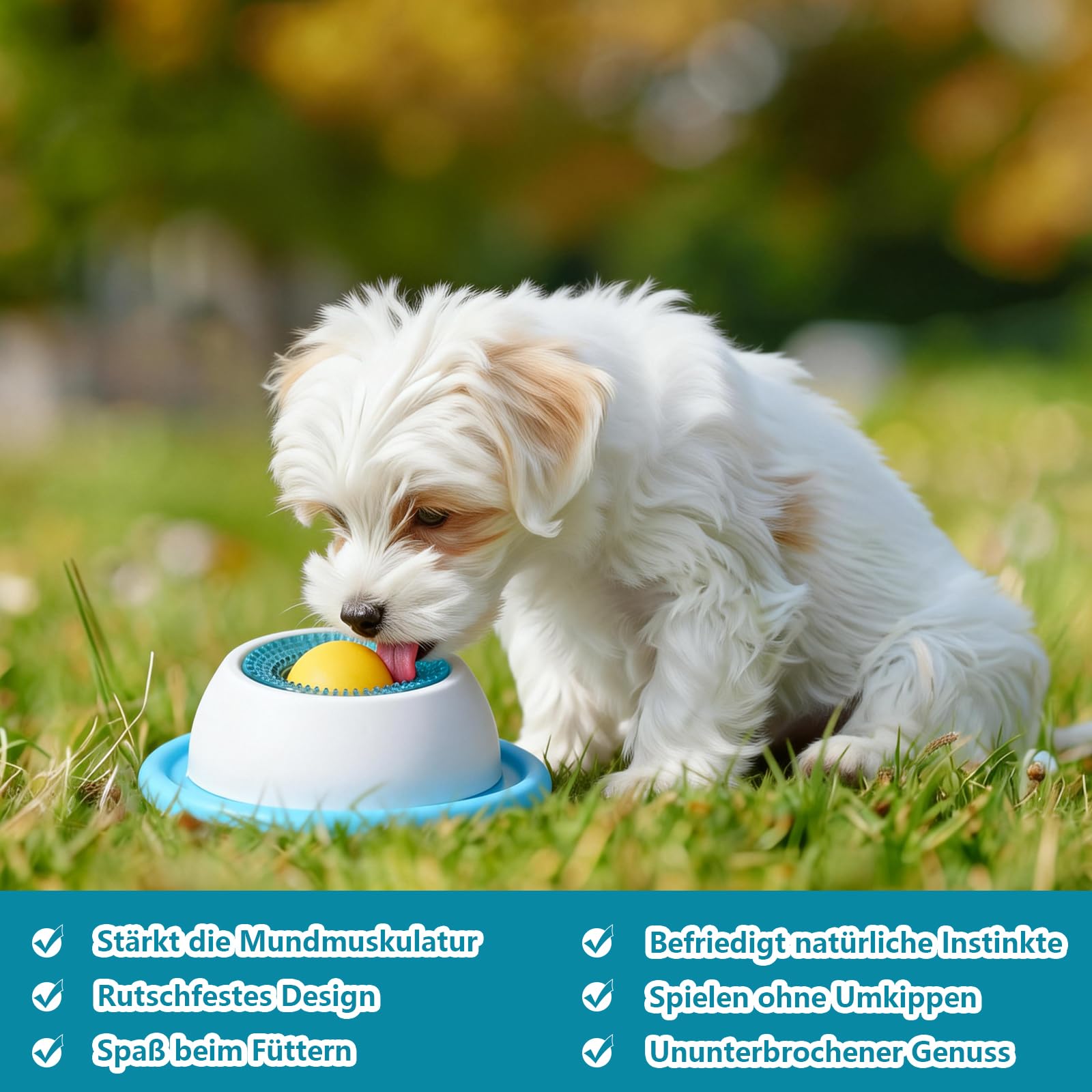 Giocattolo per cani e gatti
