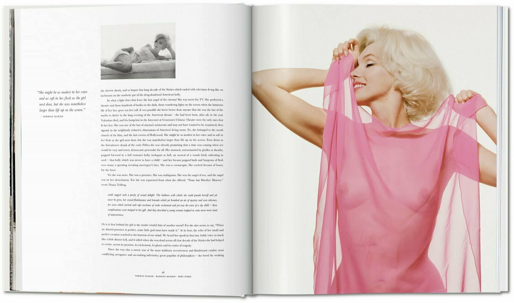 Norman Mailer: Bert Stern. Marilyn Monroe (Photography Book)
