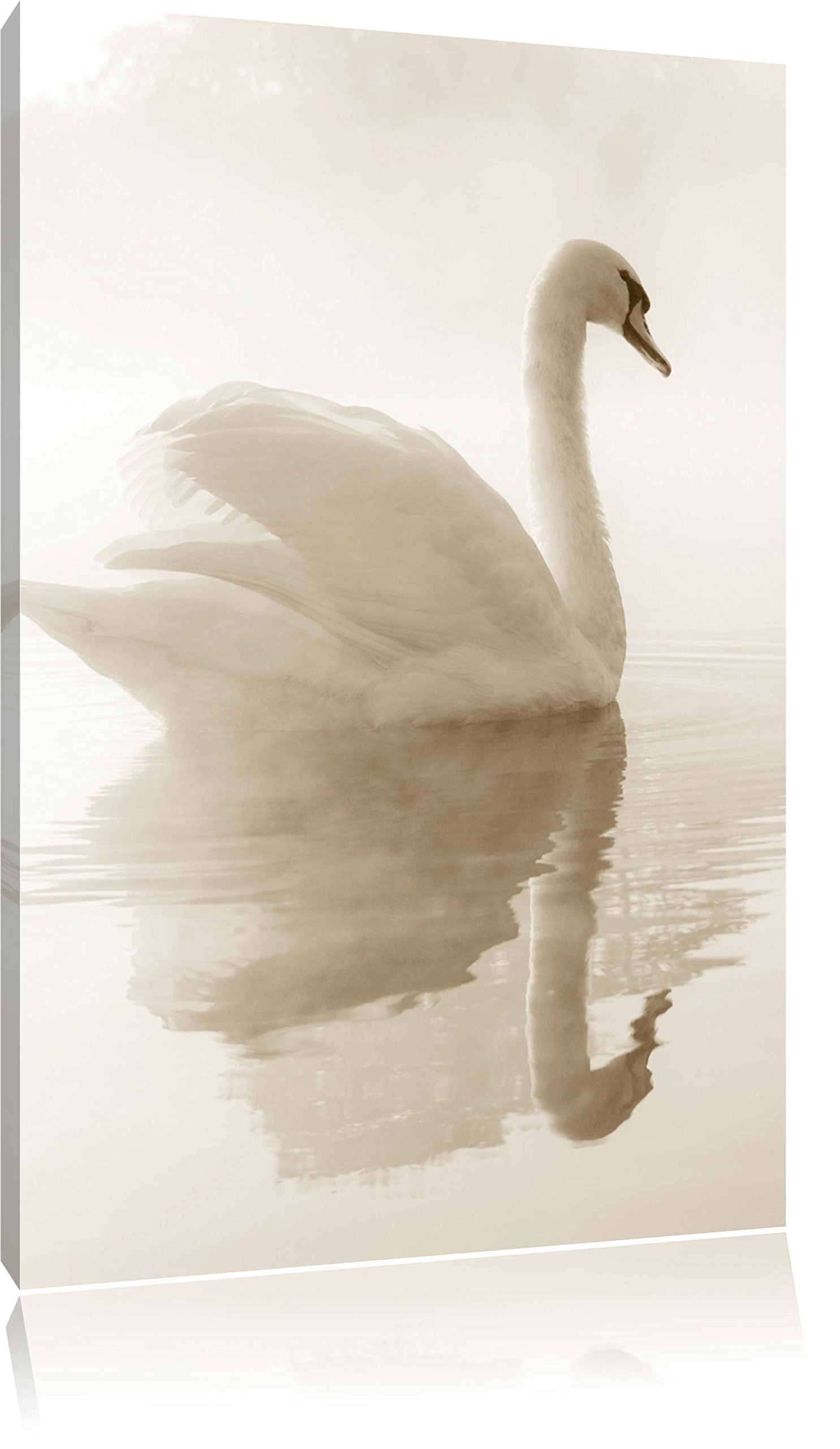 Pixxprint Colourful Canvas Wall Art