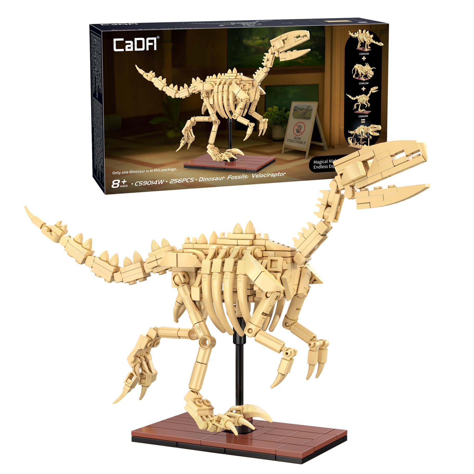 CaDA Velociraptor Skeleton Display Dinosaur Fossils - 256 Pieces - Self-Build Brick Building Block Model C59014W