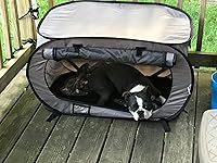 Review Image by Trust Me! Trust Me!