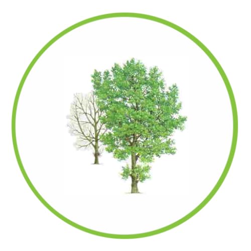 Blackpoplar - //medicalbooks.filipinodoctors.org