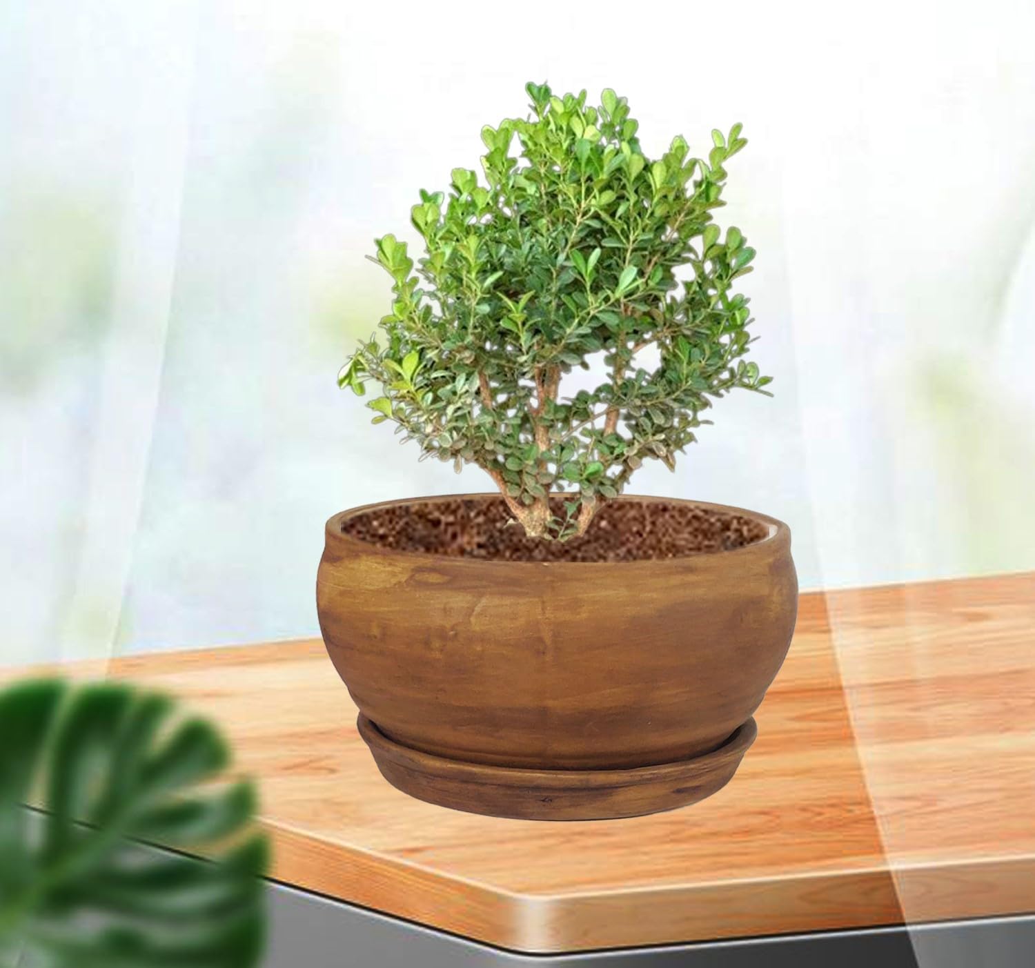 Lasaki Bowl Small Antique with Plate Antique R4 Ceramic Pots for Indoor Plants,Planters,Flower,gamla,Outdoor,Home,Garden,Decor,Succulent(Bowl-H-8cmXD-15cm,Plate-H-2XD-13cm)(Plants not Included) (B07K2SQ7F4) Amazon Price History, Amazon Price Tracker