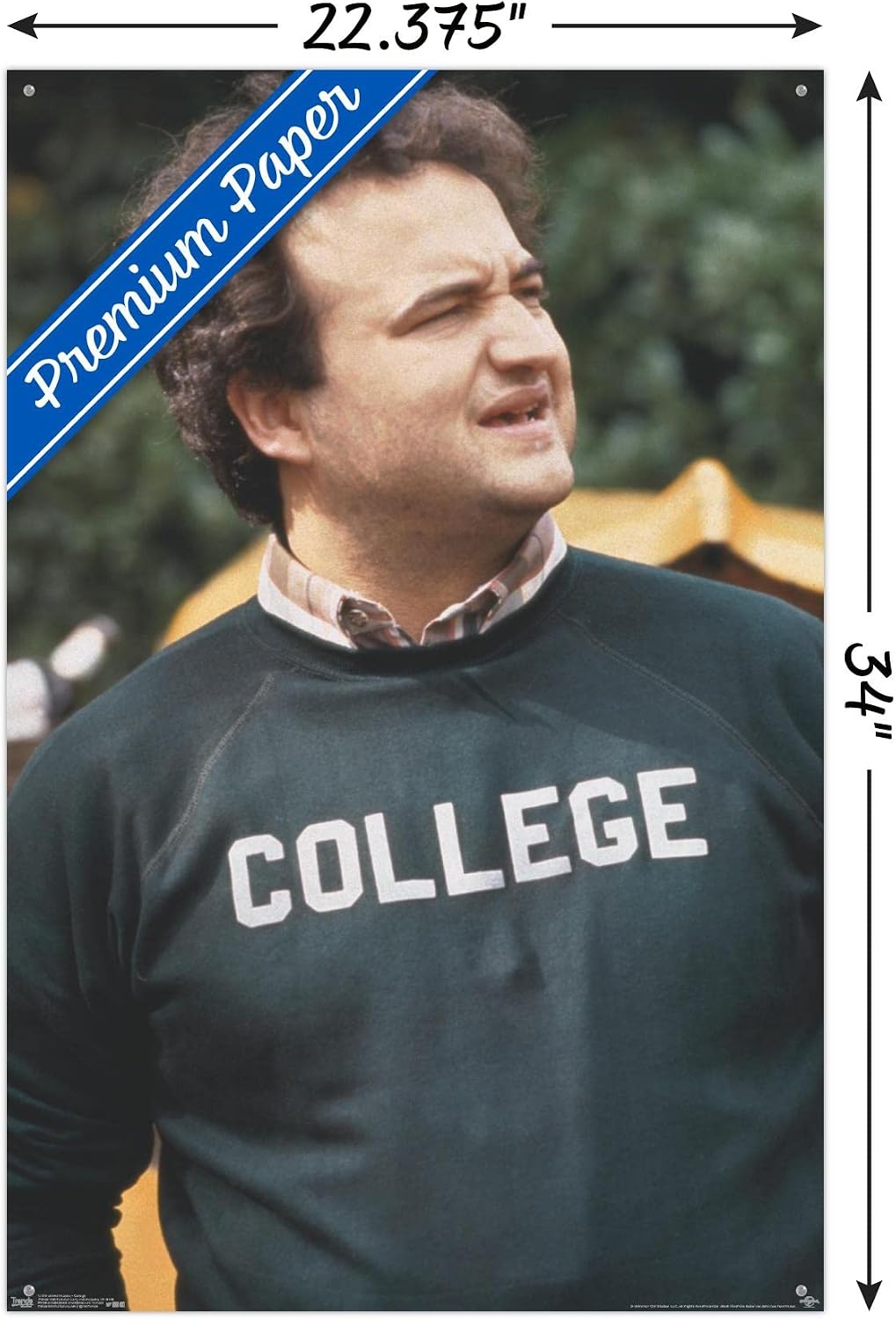 Trends International Animal House - John Belushi College Wall Poster, 22.37" x 34.00", Premium Poster & Push Pin Bundle image 3