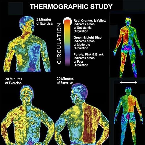 Miniatura 7 de Crema abdominal, músculo abdominal anticelulítico y masaje reafirmante paquete de ocho abdominales quemador de grasa abdominal pérdida de peso crema