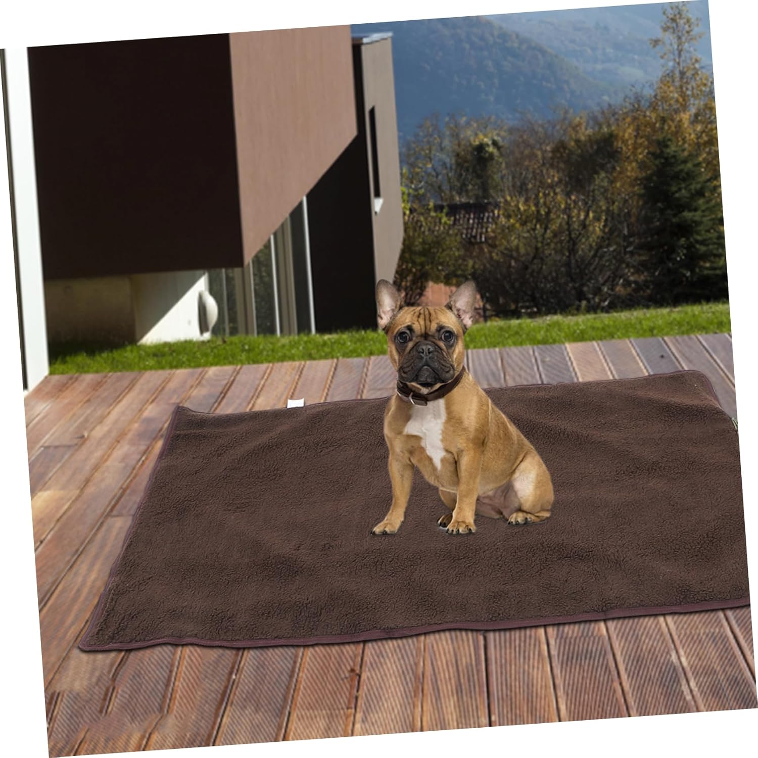 Foldable Pet Travel Blanket Outdoor Rug for Dogs Dog Blanket Snuffle Mat