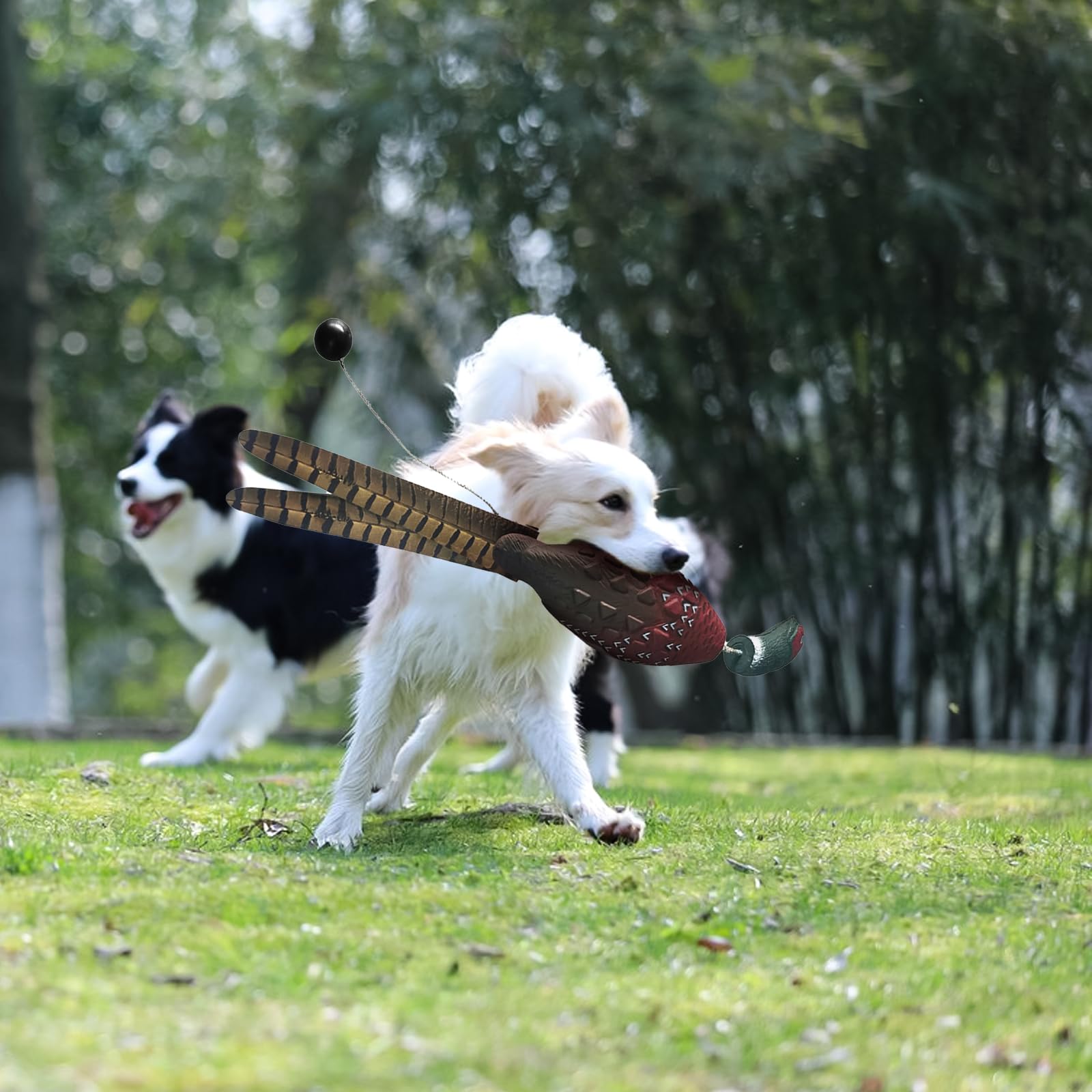 Ente Fasan Taube, Hundetraining, Taubenschnuller für Hundetraining Dummy Bumper Retriever Training Schwimmend De-ad Vogel Fowl Trainer Jagd Retriever Hundetraining Zubehör