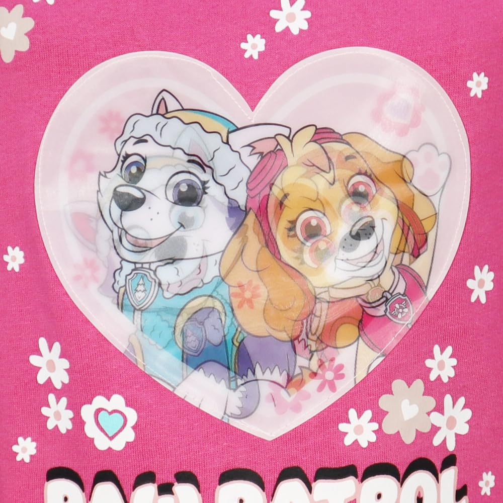 Paw Patrol Mädchen Pullover Sweatshirt – Skye & Everest mit Wechselbild – Pink – Gr. 98–128 – Weicher Baumwollmix