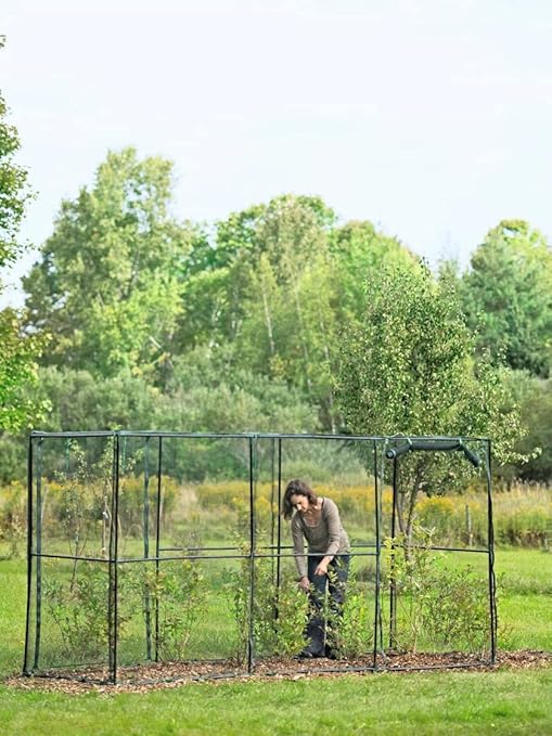 Gardeners Supply Company Tall Crop Cage Plant Protection Tent | Sturdy Plants Greenhouse Outdoor Cages for Vegetable Garden, Flowers & Lawn Crops with Zippered Enclosure Door - 6 ft H 4" X 12"