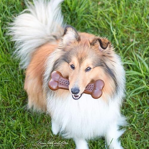 Miniatura 11 de Pet Qwerks Flavorit BarkBone - Hueso de perro rellenable para masticadores moderados, sabor a mantequilla de maní, 5.5 pulgadas, fabricado en