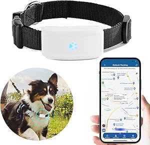 Gps dog tracker thumbnail classifica