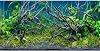 AWERT 30x18 inches Tropical Fish Tank Background River Bed & Lake Aquatic Plant Undersea Tree Branch Aquarium Background Vinyl
