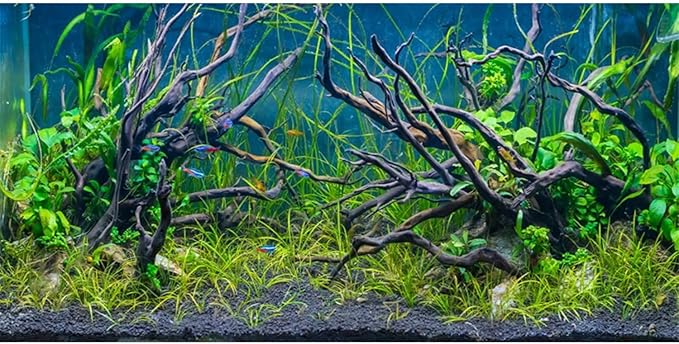 Aquarium Backgrounds AWERT 48x24 Inches Aquatic Plant Fish Tank Stone River Bed & Lake Fish Tank Background